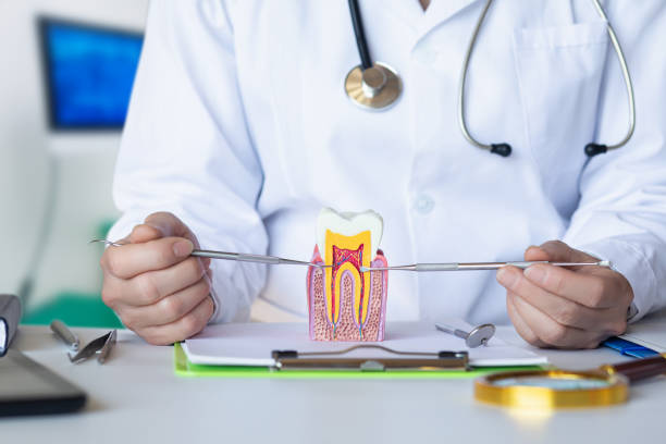Best Emergency Dental Care for Broken or Chipped Teeth in Los Osos, CA